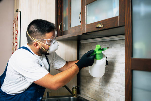Best Local Pest Control Services  in Aromas, CA