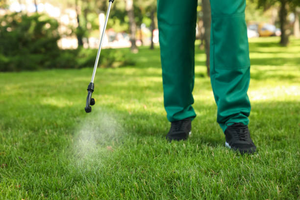 Insect Control in Aromas, CA