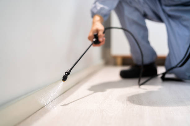 Professional Pest Control in Aromas, CA