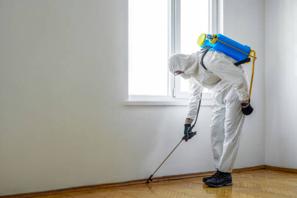 Best Ant Control Services  in Aromas, CA