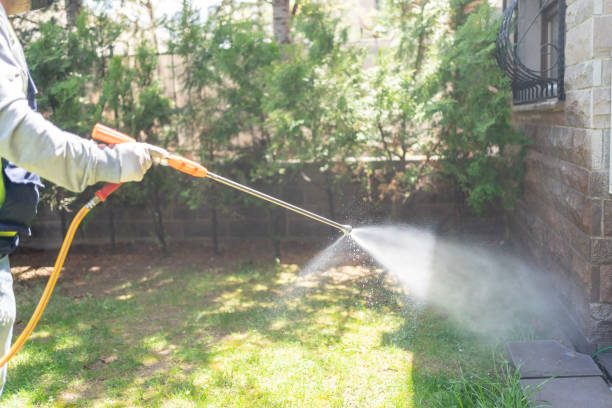Best Exterminator Services  in Aromas, CA