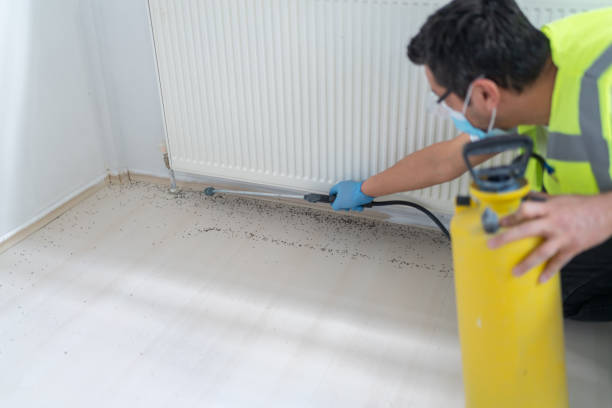Best Pest Removal Services  in Aromas, CA