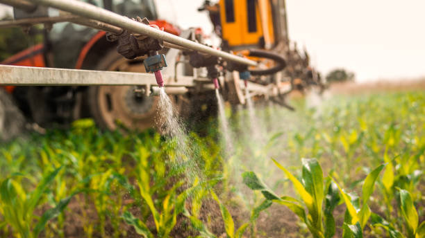 Best Pest Control Treatment  in Aromas, CA